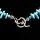 CWG-4220 Clasp