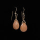 CWG -0221 Ear Rings